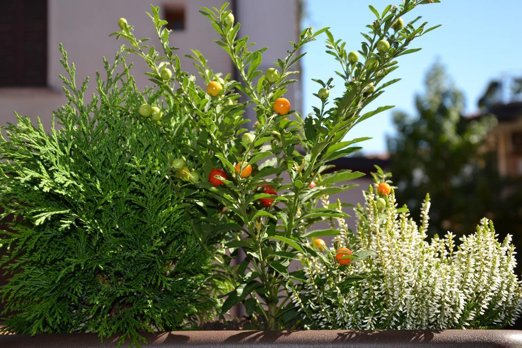 In Centro Charme Bed & Breakfast Bergamo Exterior photo