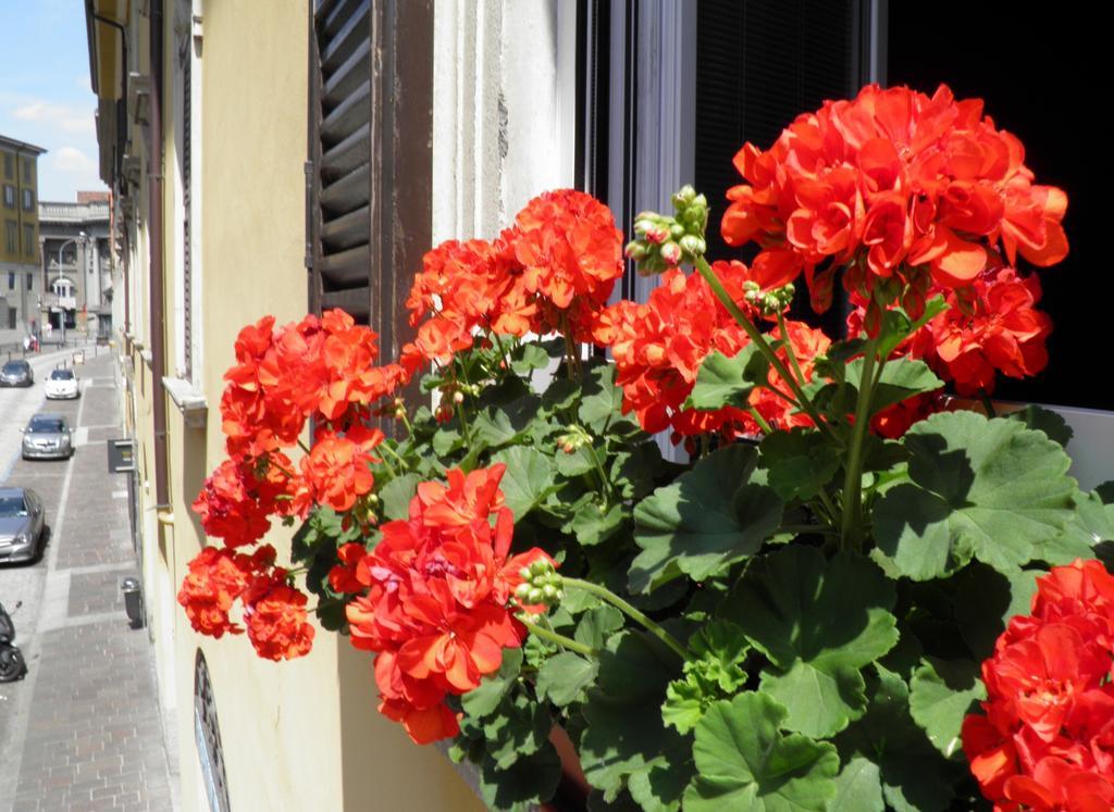 In Centro Charme Bed & Breakfast Bergamo Exterior photo
